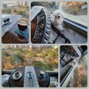 셀러블153강남의원 이미지