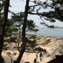 자작도조은민박 이미지