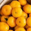 진수농장 이미지