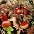 중산농장 이미지