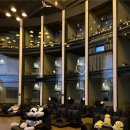 미키애견 | [경남/양산] 영화공장 :: 부산 울산 근교 애견동반 가능한 영화관에서 실내데이트 추천, 206호 좌석...