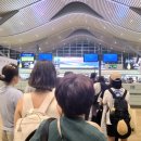 나트랑 깜란공항 밥집 비비고 밥상 후기