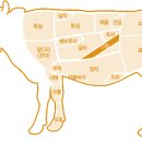 한우대가NO.9 이미지