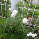 한림정역 이미지