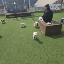 아로하스토리