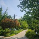 일월관광농원캠핑 이미지