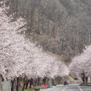 개화2리마을회관 이미지