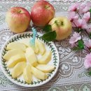 선홍농장 이미지