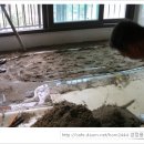 디자인카운티 이미지