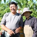 이상윤농장 이미지