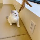 해밀동물병원 이미지