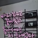 허당맛선생