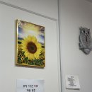 씨앤디펫샵 이미지