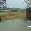 옥천 초등학교 앞 이미지