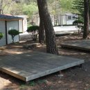 개미들솔향기야영장 이미지