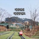 태안팜랜드 네이버블로그