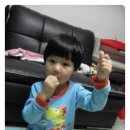 그레이스푸드 이미지