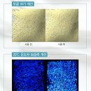 채영에스테틱 네이버블로그