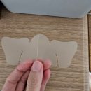 에스블랙 | 나비존 모공 수축, 에슬 센텔라 포어리스 패치 후기, 블랙프라이데이 이벤트