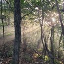 봉림농장 이미지