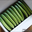 재환농장 이미지