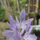 0908 차를 살려 영화를 보러 이미지