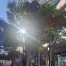 고양관광정보센터 | 나의 아지트 고양관광정보센터