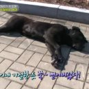 심청농장 이미지