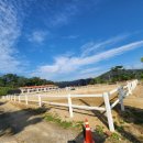 엘리트 승마스쿨 이미지