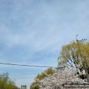 GS25수원화홍점 이미지