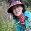 부여군농업기술센터 | 부여군 농업기술센터 2025년 농촌진흥사업 종합평가회