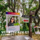 빠르게걷기 - 마포구 마포대로 86 | 당진 가볼만한곳 면천읍성 몽산성 시무나무 걷기 행사 참여 후기 (오운완 5km 완주)