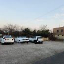 성화반점 이미지