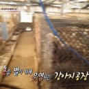 안수영농장 이미지