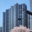 옥길드림공인중개사사무소 | [부천 부동산 스케치] 일루미스테이트 &amp; 범박동, 2026년 봄의 기록