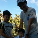 참마음 어린이집 이미지