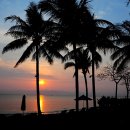 하이얏트 이미지