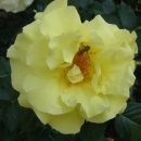 갈전농장 이미지