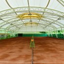 워라밸돔경기장 이미지