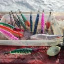 레인보우로드 | 피싱템 갑오징어 쭈꾸미 리얼새우 에기 추천 및 선상낚시 입문 로드 소개