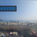 사랑의마을 노인요양 공동생활가정 | 부산 노인요양 요양센터 정보 송정요양원 편안한 소규모 요양원