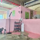 고양이살롱앤카페 이미지