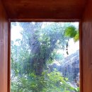 완산-130 이미지