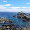 장호초등학교 이미지