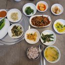 서산 점심 백반 맛집 추천!서산 밥한술.집밥느낌 한가득.