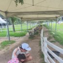 경하목장 이미지