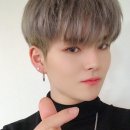 요시 이미지