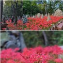 석산상사