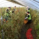 세도농협 하나로마트 이미지