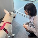 풍이농장 이미지